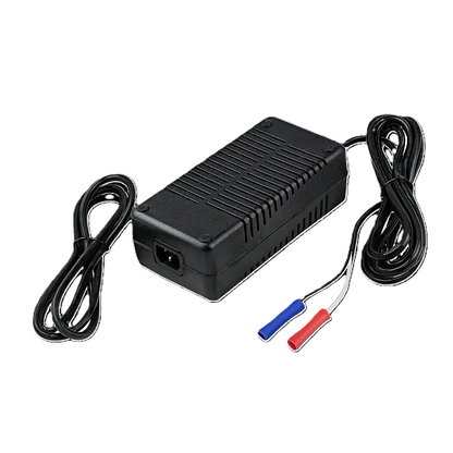 ThyssenKrupp Porch-Lift 24VDC 4-amp Constant-Current Charger