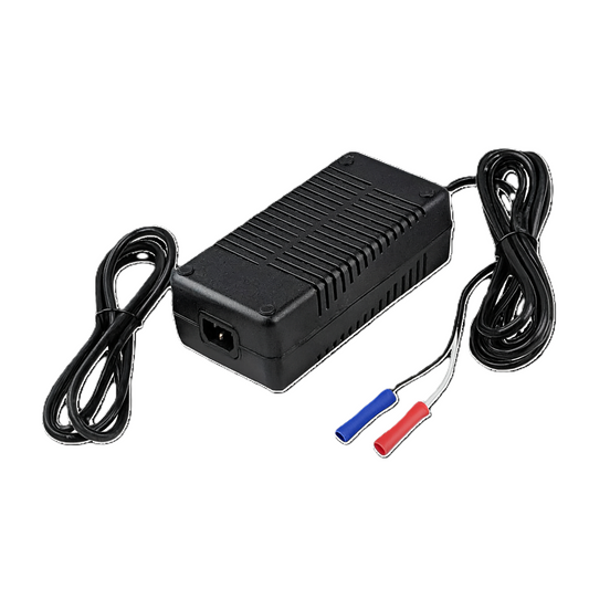 ThyssenKrupp Porch-Lift 24VDC 4-amp Constant-Current Charger